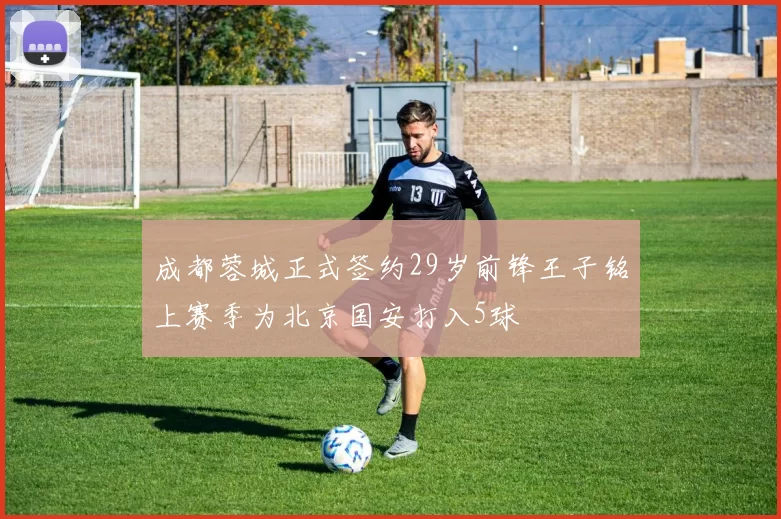 成都蓉城正式签约29岁前锋王子铭上赛季为北京国安打入5球